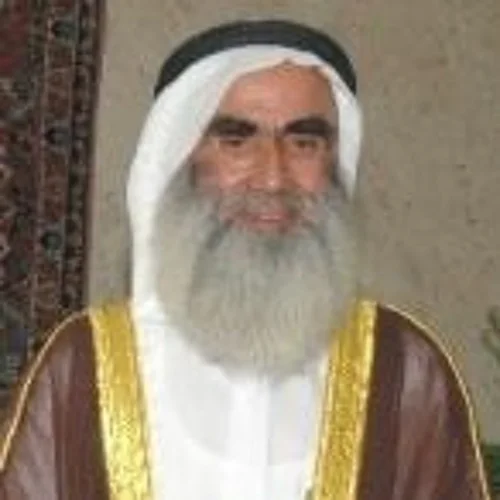 الشيخ محمد الأفغانى